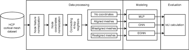 Figure 1 for Utility of Equivariant Message Passing in Cortical Mesh Segmentation