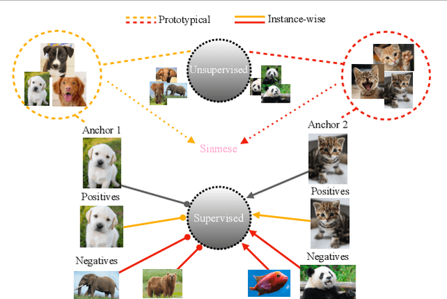 Figure 1 for Siamese Prototypical Contrastive Learning