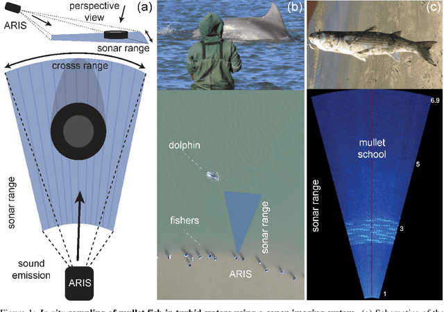 Figure 1 for Deep learning with self-supervision and uncertainty regularization to count fish in underwater images
