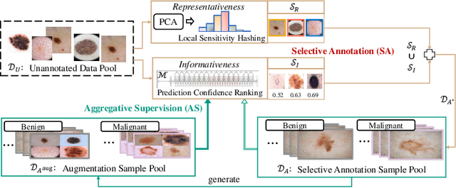 Figure 1 for An Active Learning Approach for Reducing Annotation Cost in Skin Lesion Analysis