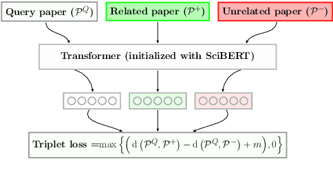 Figure 1 for Document-level Representation Learning using Citation-informed Transformers
