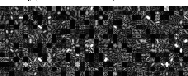 Figure 4 for Convex Regularization Behind Neural Reconstruction