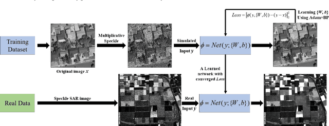 Figure 4 for Learning a Dilated Residual Network for SAR Image Despeckling