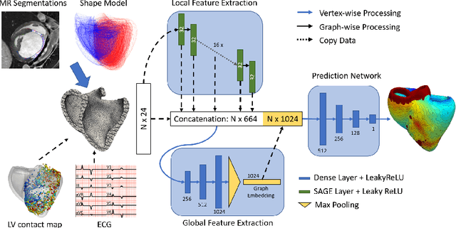 Figure 1 for Graph convolutional regression of cardiac depolarization from sparse endocardial maps