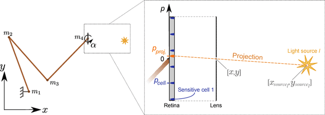 Figure 3 for Learning agent's spatial configuration from sensorimotor invariants