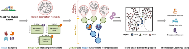 Figure 1 for Deep Contextual Learners for Protein Networks
