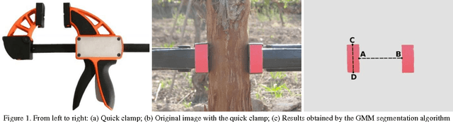Figure 2 for Computer Vision Approach for Low Cost, High Precision Measurement of Grapevine Trunk Diameter in Outdoor Conditions