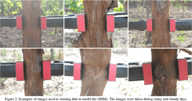 Figure 3 for Computer Vision Approach for Low Cost, High Precision Measurement of Grapevine Trunk Diameter in Outdoor Conditions