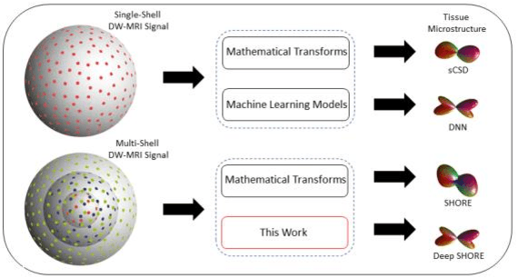 Figure 1 for Enabling Multi-Shell b-Value Generalizability of Data-Driven Diffusion Models with Deep SHORE