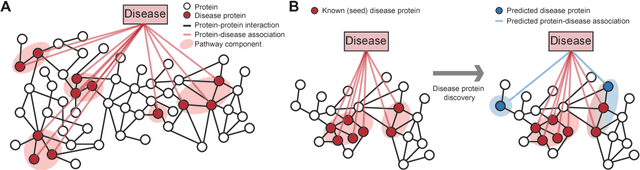 Figure 1 for Large-scale analysis of disease pathways in the human interactome