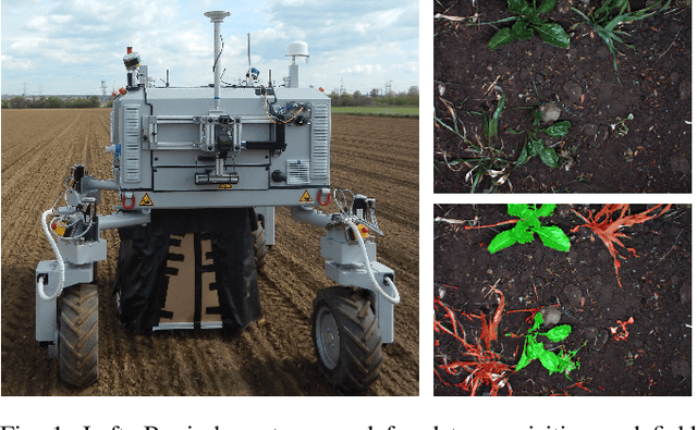 Figure 1 for Real-time Semantic Segmentation of Crop and Weed for Precision Agriculture Robots Leveraging Background Knowledge in CNNs