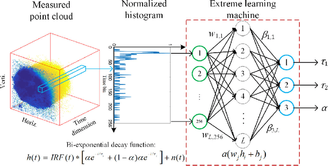 Figure 1 for Fast fluorescence lifetime imaging analysis via extreme learning machine