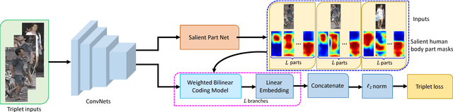 Figure 1 for Weighted Bilinear Coding over Salient Body Parts for Person Re-identification