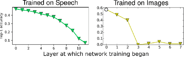 Figure 2 for The effect of task and training on intermediate representations in convolutional neural networks revealed with modified RV similarity analysis