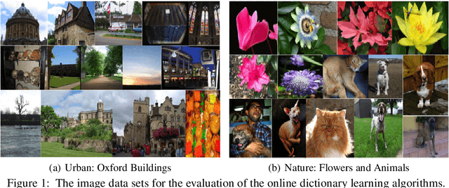 Figure 1 for Neurogenesis-Inspired Dictionary Learning: Online Model Adaption in a Changing World