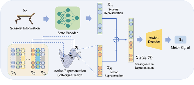 Figure 1 for Simple Emergent Action Representations from Multi-Task Policy Training