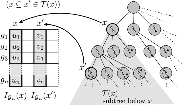 Figure 4 for Sparse Learning over Infinite Subgraph Features