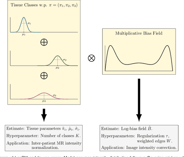 Figure 1 for LapGM: A Multisequence MR Bias Correction and Normalization Model