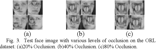 Figure 3 for Deep Image Feature Learning with Fuzzy Rules