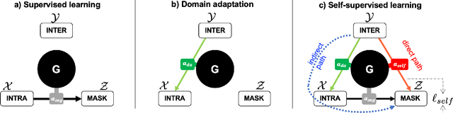 Figure 1 for Unifying domain adaptation and self-supervised learning for CXR segmentation via AdaIN-based knowledge distillation
