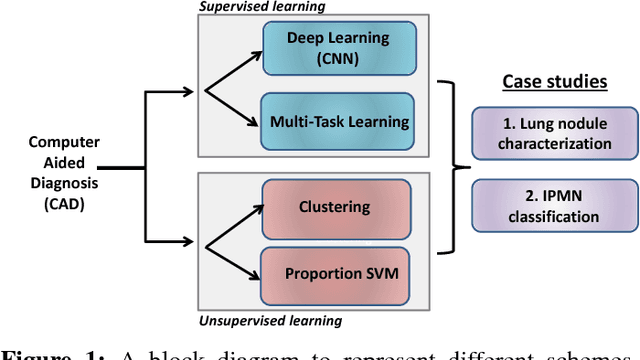 Figure 1 for Supervised and Unsupervised Tumor Characterization in the Deep Learning Era