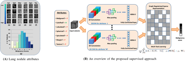 Figure 2 for Supervised and Unsupervised Tumor Characterization in the Deep Learning Era