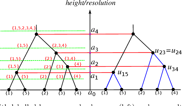 Figure 1 for Maximum Likelihood Estimation for Single Linkage Hierarchical Clustering