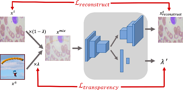 Figure 3 for Mix-up Self-Supervised Learning for Contrast-agnostic Applications