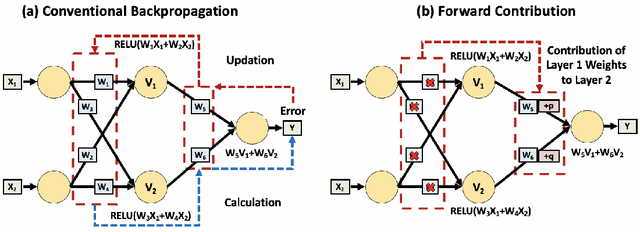 Figure 2 for Front Contribution instead of Back Propagation