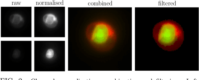 Figure 2 for Exploring the Deep Feature Space of a Cell Classification Neural Network