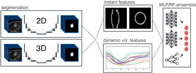 Figure 1 for Automatic Cardiac Disease Assessment on cine-MRI via Time-Series Segmentation and Domain Specific Features