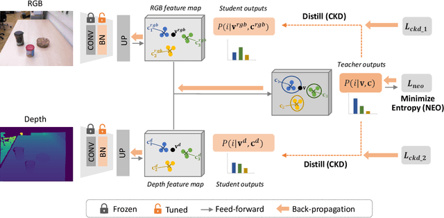 Figure 2 for Unseen Object Instance Segmentation with Fully Test-time RGB-D Embeddings Adaptation