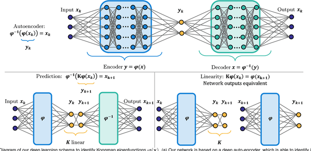 Figure 1 for Deep learning for universal linear embeddings of nonlinear dynamics