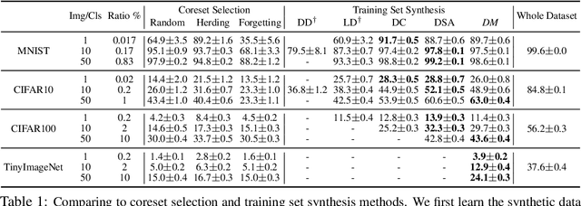 Figure 2 for Dataset Condensation with Distribution Matching