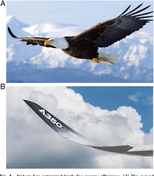 Figure 4 for The Unreasonable Effectiveness of Deep Learning in Artificial Intelligence