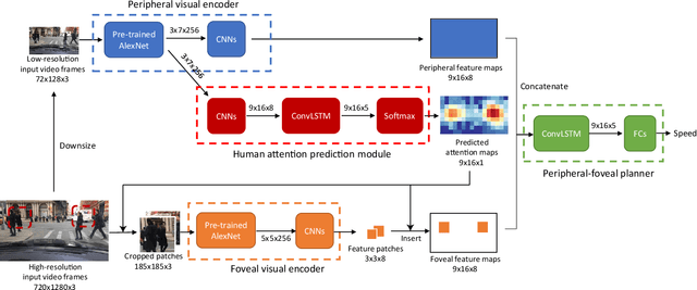 Figure 3 for Periphery-Fovea Multi-Resolution Driving Model guided by Human Attention