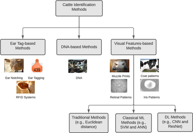 Figure 3 for A Systematic Review of Machine Learning Techniques for Cattle Identification: Datasets, Methods and Future Directions