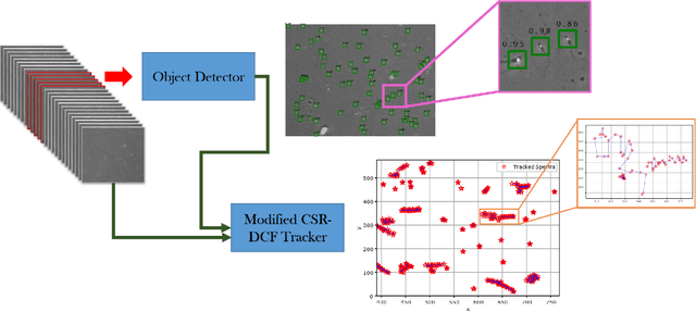 Figure 1 for Sperm Detection and Tracking in Phase-Contrast Microscopy Image Sequences using Deep Learning and Modified CSR-DCF