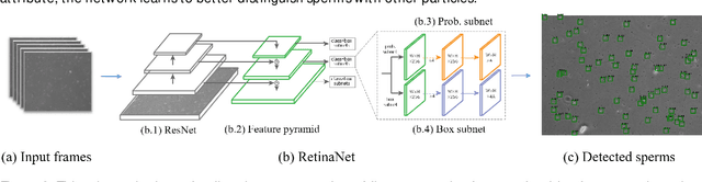 Figure 2 for Sperm Detection and Tracking in Phase-Contrast Microscopy Image Sequences using Deep Learning and Modified CSR-DCF