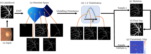 Figure 3 for Learning Probabilistic Structural Representation for Biomedical Image Segmentation