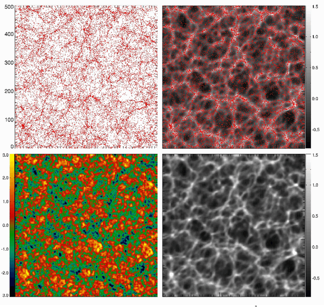 Figure 3 for The Initial Conditions of the Universe from Constrained Simulations