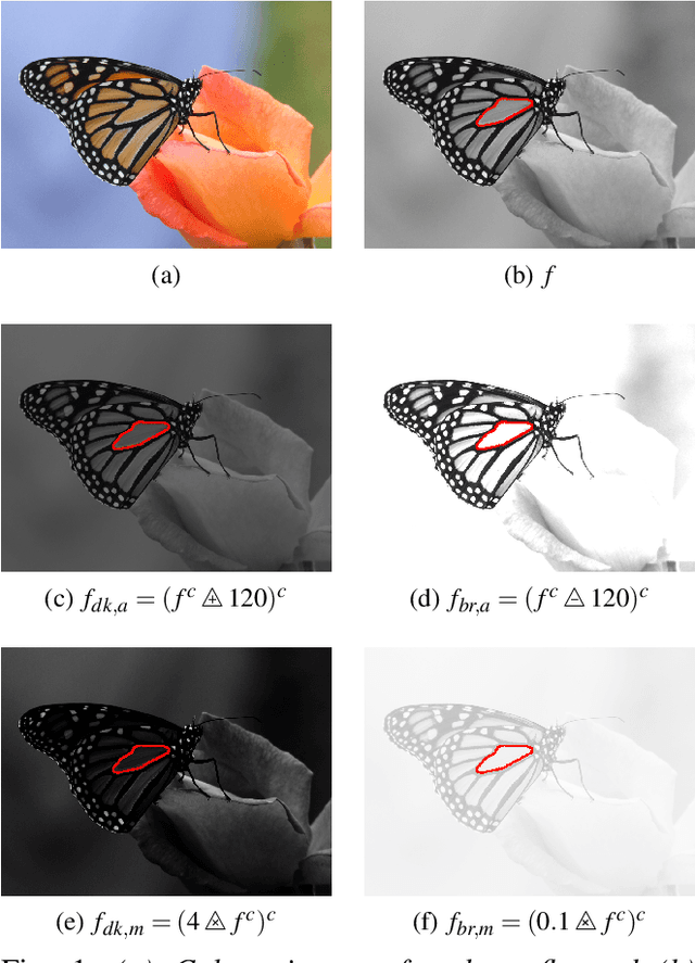 Figure 1 for Region homogeneity in the Logarithmic Image Processing framework: application to region growing algorithms