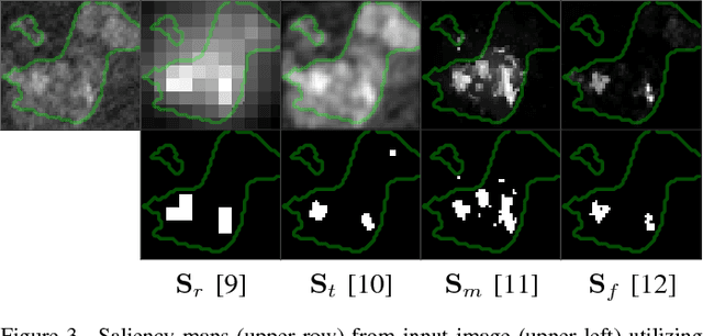 Figure 3 for Robust Seed Mask Generation for Interactive Image Segmentation