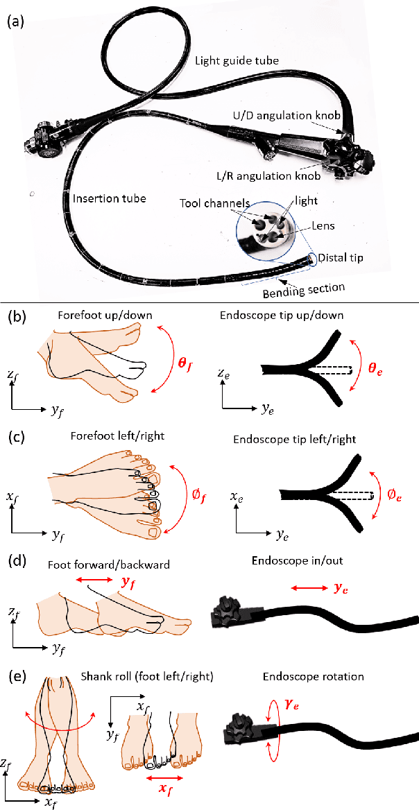 Figure 2 for A Three-limb Teleoperated Robotic System with Foot Control for Flexible Endoscopic Surgery