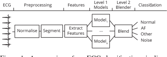 Figure 1 for Beat by Beat: Classifying Cardiac Arrhythmias with Recurrent Neural Networks
