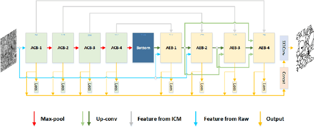 Figure 1 for ACE-Net: Biomedical Image Segmentation with Augmented Contracting and Expansive Paths