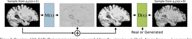 Figure 3 for Visual Feature Attribution using Wasserstein GANs