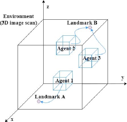 Figure 1 for Communicative Reinforcement Learning Agents for Landmark Detection in Brain Images