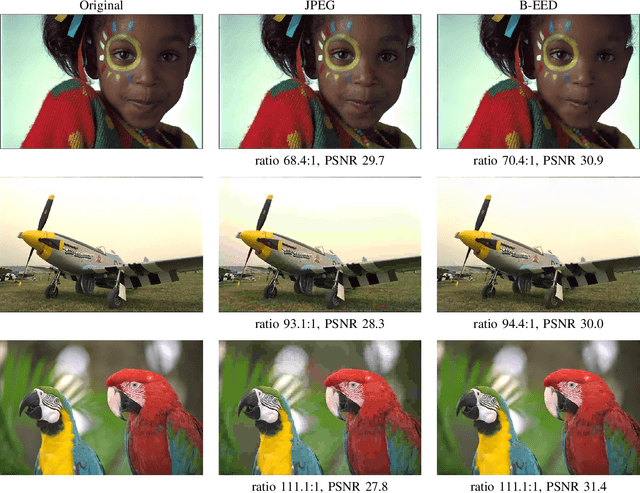 Figure 3 for JPEG meets PDE-based Image Compression