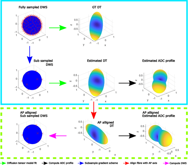 Figure 1 for How can spherical CNNs benefit ML-based diffusion MRI parameter estimation?